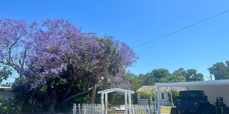 Clearwater House: 308 S Mars Ave