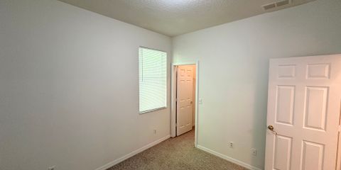 IMG_6395.jpg