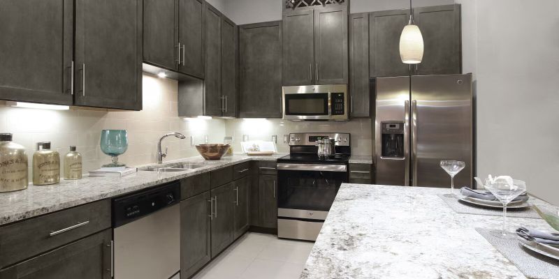 Houston Apartment: 1600 Waugh Dr