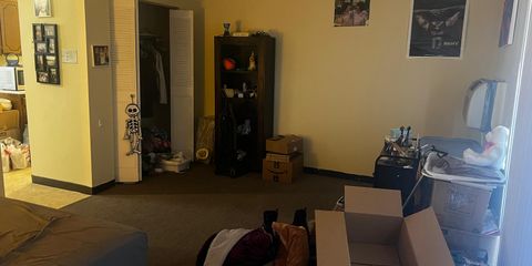 WhatsApp Image 2025-01-12 at 12.17.35.jpeg