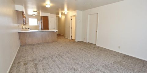 IMG_2020.jpg