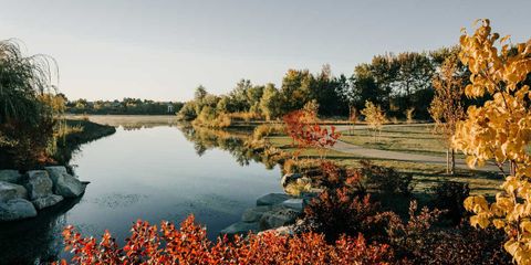 Greenbelt 3.jpg