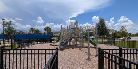 PXL_20250710_172551691.jpg