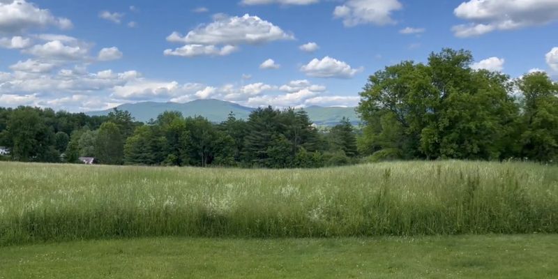 Rutland Apartment: 16 Campbell Rd