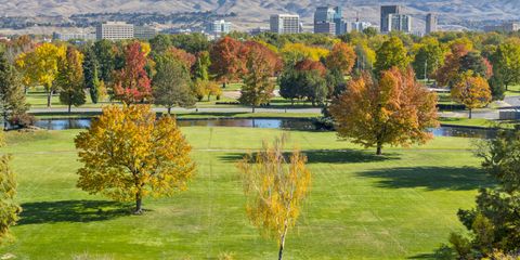 ann morrison park boise.jpg
