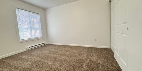 IMG_1923.jpeg