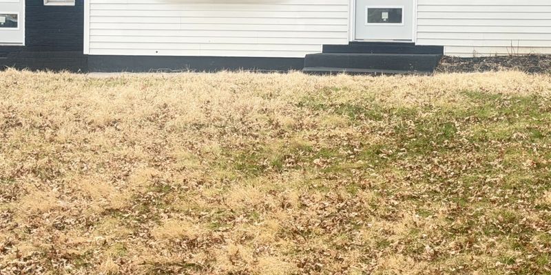 Cincinnati House: 2830 Country Park Dr