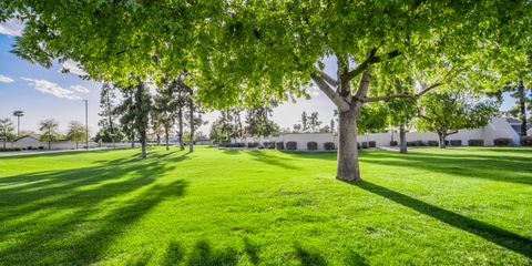 P1177552-HDR.jpg