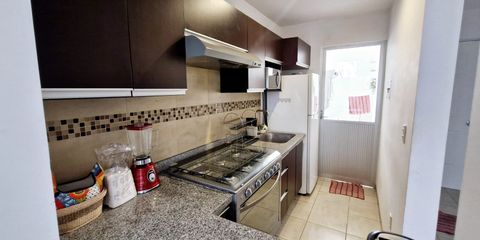 WhatsApp Image 2025-02-13 at 19.37.33.jpeg