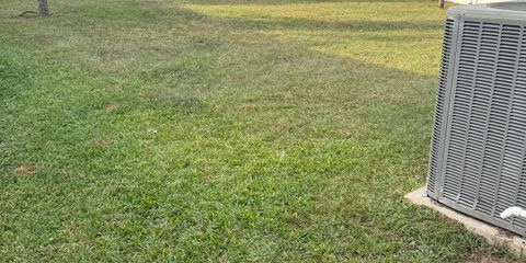 IMG_5545.JPG
