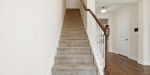 IMG_4982.JPG