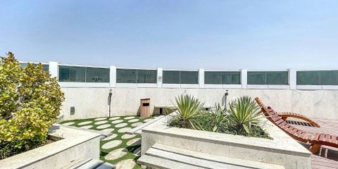 WhatsApp Image 2025-05-07 at 16.36.55.jpeg