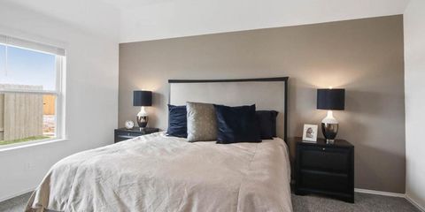 23823 Desert Peach 4.jpg