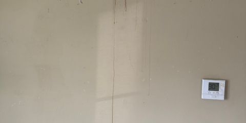 IMG_2839.jpg