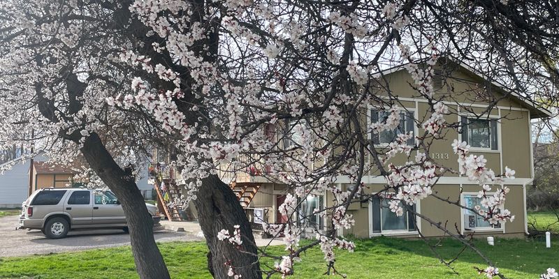 Missoula Apartment: 1313 Schilling St