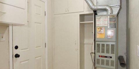 IMG_9786.jpg