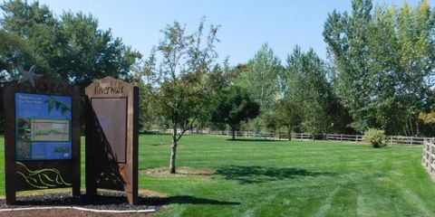 star river walk 1.jpg