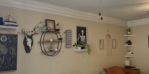 IMG_0872.jpg