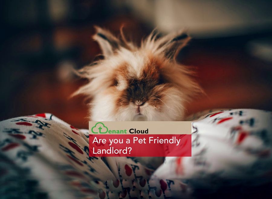 Are You a Pet Friendly Landlord?