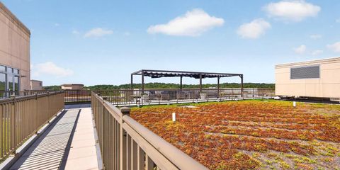 rooftop lounge 2.jpg