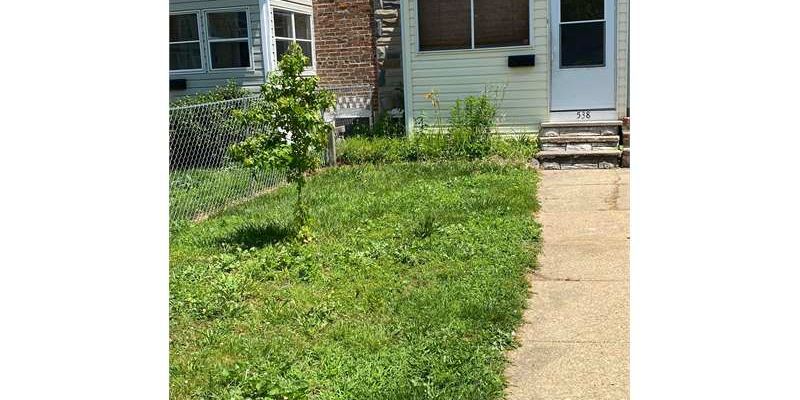 Baltimore House: 538 Maude Ave