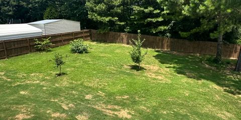 IMG_7887.jpeg