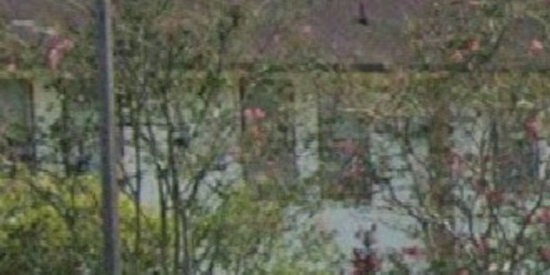 Baton Rouge Apartment: 10911 Sullivan Rd
