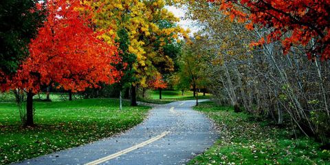 fall.jpg