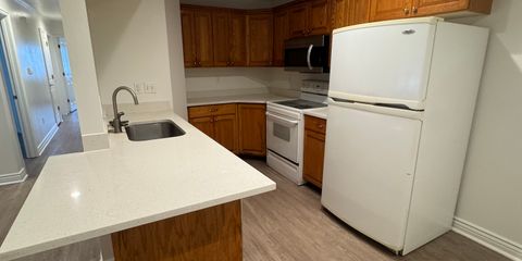 IMG_7298.JPEG