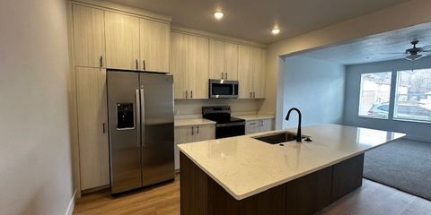 Springville Kitchen.jpg