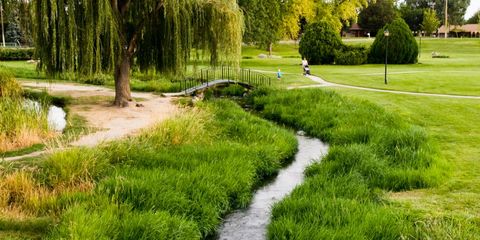 nampa park 1.jpg