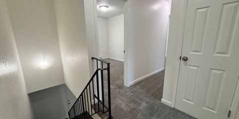 IMG_1752.jpeg