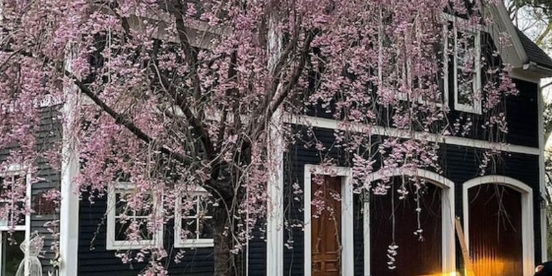 Burlington Apartment: 195 N Prospect St