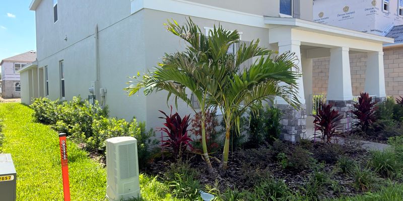 WINTER GARDEN House: Avalon Woods - 6333 Wild Persimmon Way