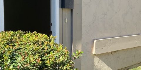IMG_0034465888C3-1.jpeg