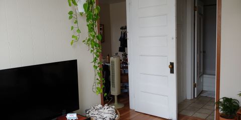 IMG_20210418_095341.jpg