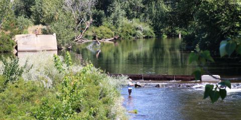 river 1.jpg