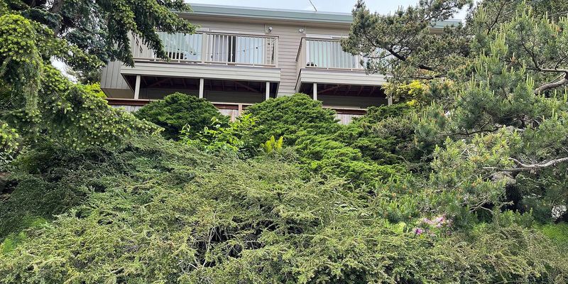 Seattle Apartment: 3021 21st Ave W