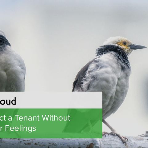 3 Tips to Evict a Tenant Without Hurting Their Feelings