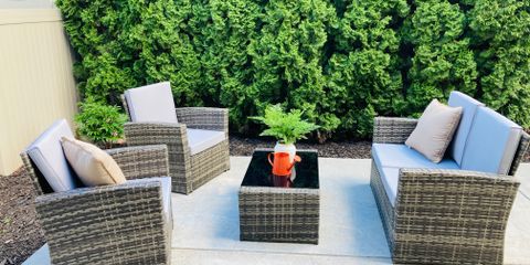 IMG_2665.jpeg