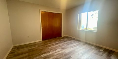 Photo Mar 28 2025, 10 14 25 AM.jpg