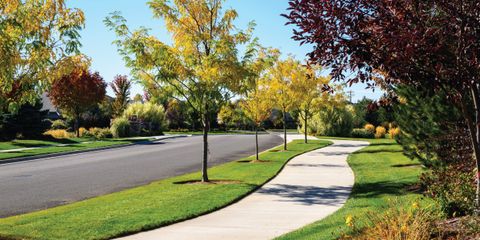 century farms pond.jpg