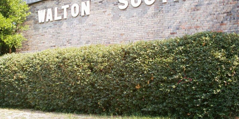 Fort Walton Beach Apartment: 303 South Ave